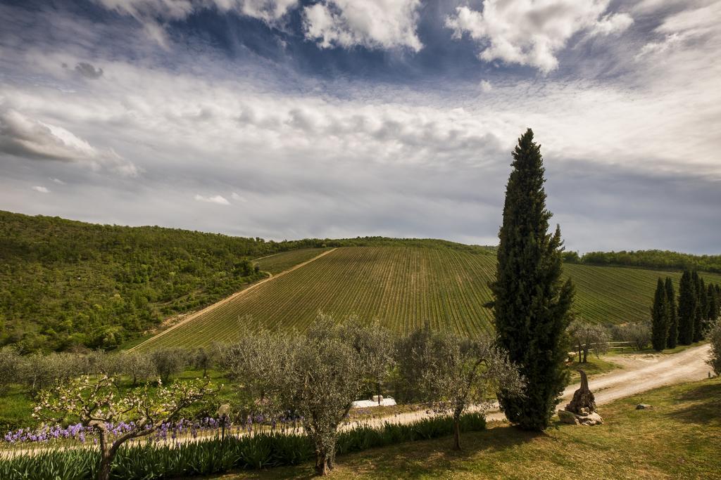 Querceto Di Castellina Villa Castellina in Chianti Exterior foto